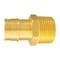 Apollo Apollo Expansion PEX / Pex A 1 in. Expansion PEX in to X 1 in. D MPT Brass Male Adapter EPXMA11 - alternate 1